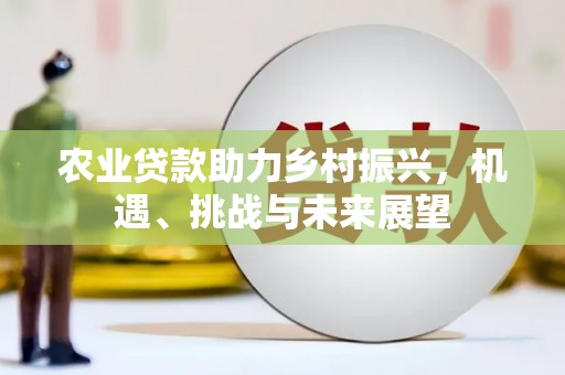 徐水农业贷款助力乡村振兴，机遇、挑战与未来展望