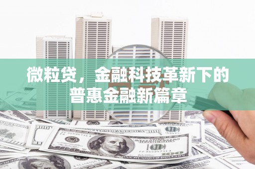 徐水微粒贷，金融科技革新下的普惠金融新篇章