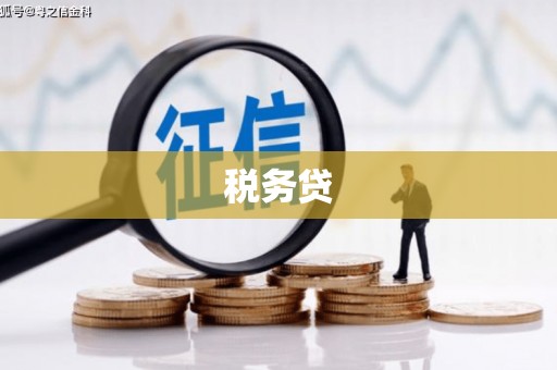 徐水税务贷