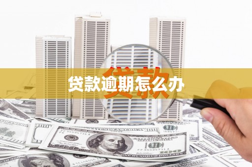 徐水贷款逾期怎么办