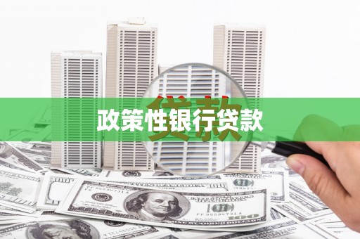 徐水政策性银行贷款