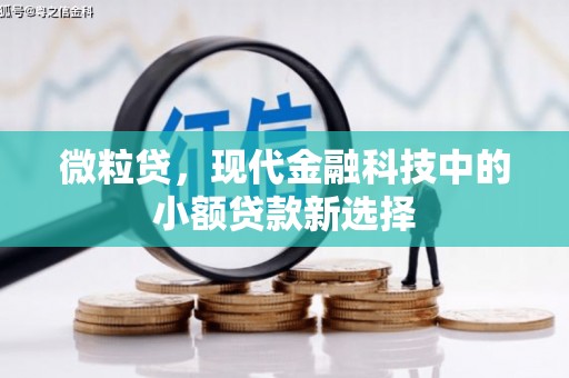徐水微粒贷，现代金融科技中的小额贷款新选择