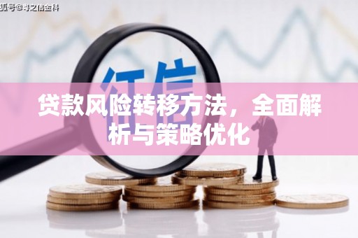 徐水贷款风险转移方法，全面解析与策略优化