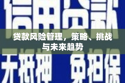 徐水贷款风险管理，策略、挑战与未来趋势