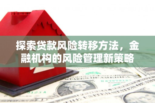 徐水探索贷款风险转移方法，金融机构的风险管理新策略