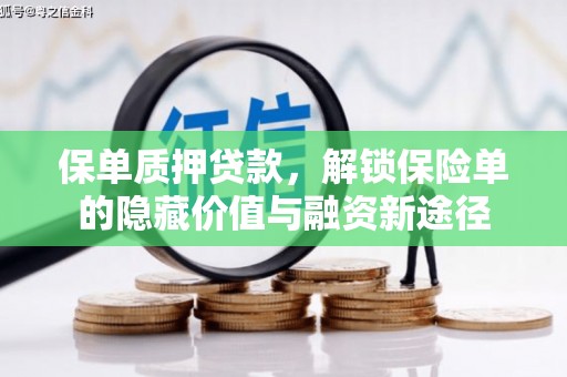 徐水保单质押贷款，解锁保险单的隐藏价值与融资新途径