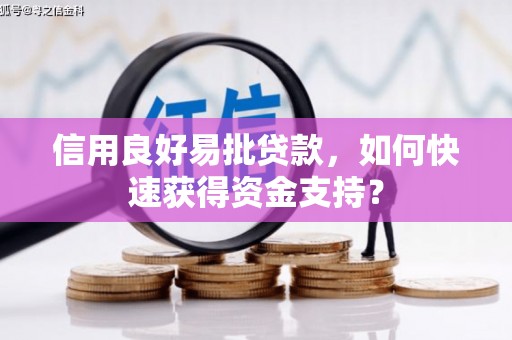 徐水信用良好易批贷款，如何快速获得资金支持？