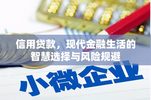 徐水信用贷款，现代金融生活的智慧选择与风险规避