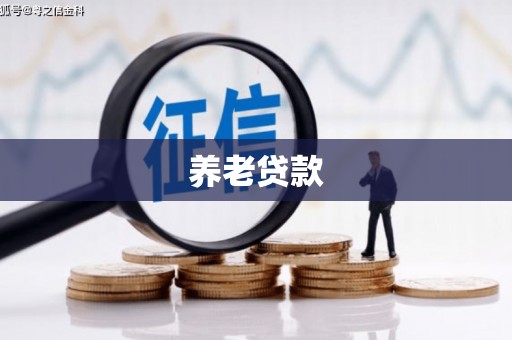 徐水养老贷款