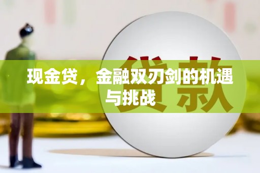 徐水现金贷，金融双刃剑的机遇与挑战