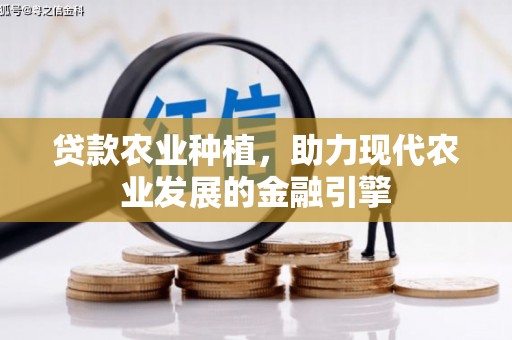 徐水贷款农业种植，助力现代农业发展的金融引擎