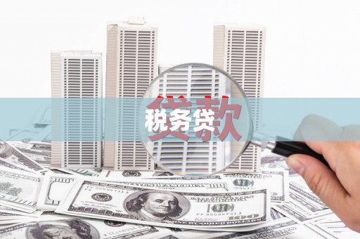 徐水税务贷