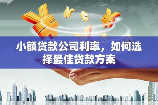 徐水小额贷款公司利率，如何选择最佳贷款方案