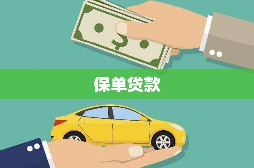 徐水保单贷款