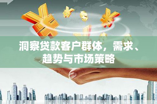 徐水洞察贷款客户群体，需求、趋势与市场策略