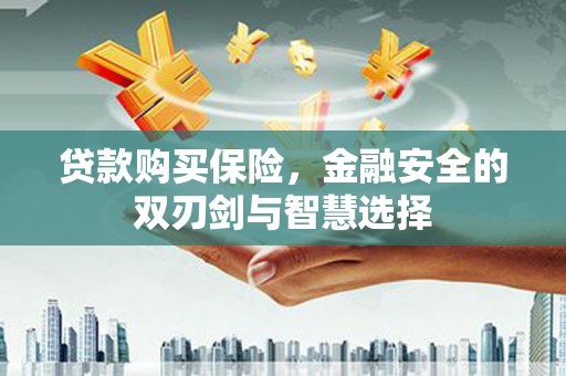 徐水贷款购买保险，金融安全的双刃剑与智慧选择
