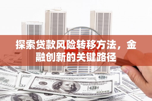徐水探索贷款风险转移方法，金融创新的关键路径