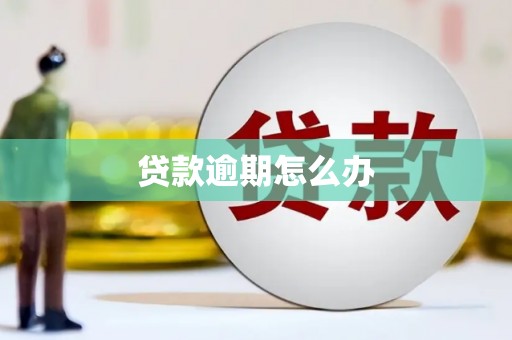 徐水贷款逾期怎么办