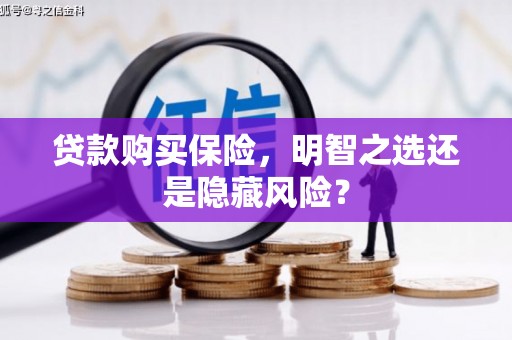 徐水贷款购买保险，明智之选还是隐藏风险？