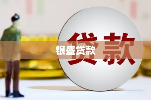 徐水银盛贷款