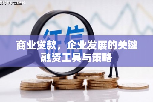 徐水商业贷款，企业发展的关键融资工具与策略