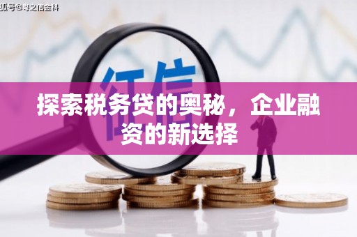 徐水探索税务贷的奥秘，企业融资的新选择