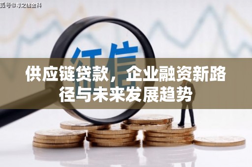 徐水供应链贷款，企业融资新路径与未来发展趋势