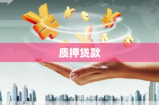 徐水质押贷款