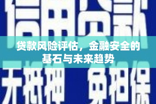 徐水贷款风险评估，金融安全的基石与未来趋势