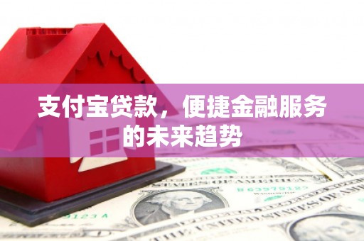 徐水支付宝贷款，便捷金融服务的未来趋势