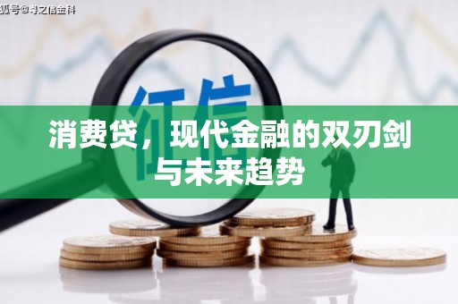 徐水消费贷，现代金融的双刃剑与未来趋势