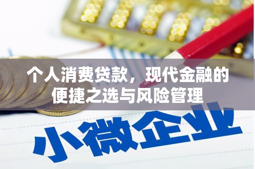 徐水个人消费贷款，现代金融的便捷之选与风险管理