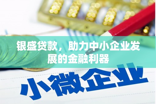 徐水银盛贷款，助力中小企业发展的金融利器