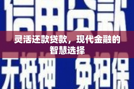 徐水灵活还款贷款，现代金融的智慧选择
