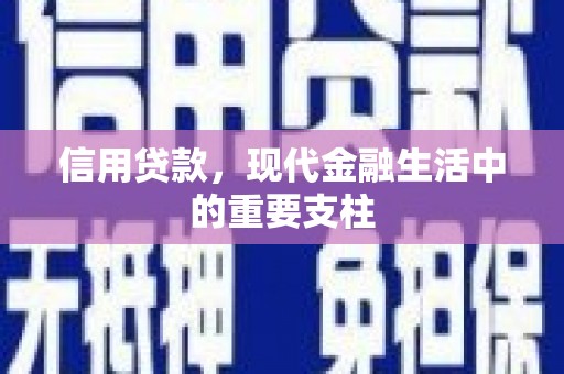 徐水信用贷款，现代金融生活中的重要支柱