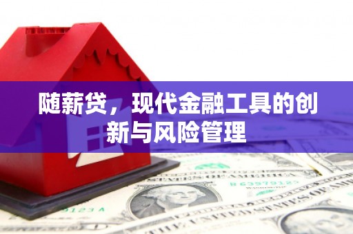 徐水随薪贷，现代金融工具的创新与风险管理