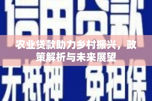 徐水农业贷款助力乡村振兴，政策解析与未来展望