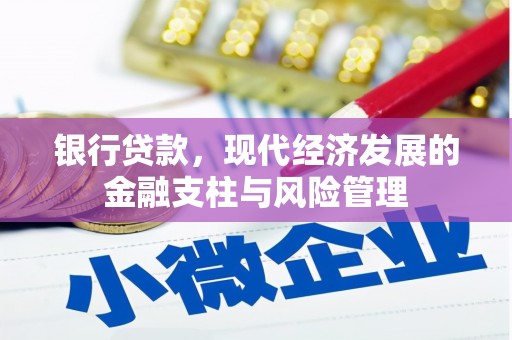 徐水银行贷款，现代经济发展的金融支柱与风险管理