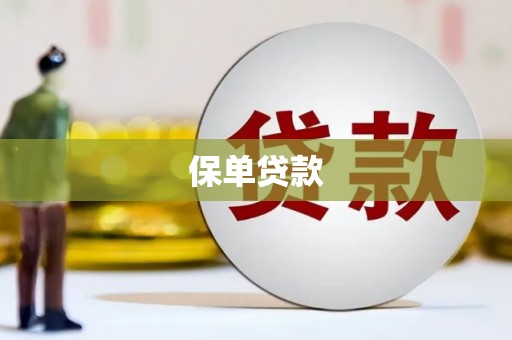 徐水保单贷款