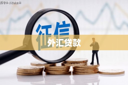 徐水外汇贷款