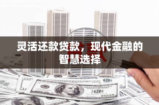 徐水灵活还款贷款，现代金融的智慧选择