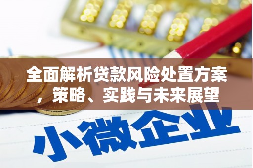 徐水全面解析贷款风险处置方案，策略、实践与未来展望