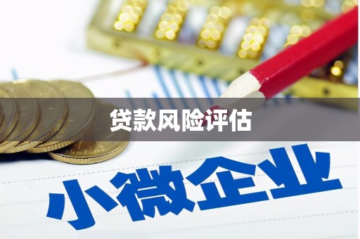 徐水贷款风险评估