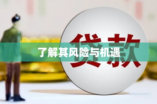 徐水了解其风险与机遇