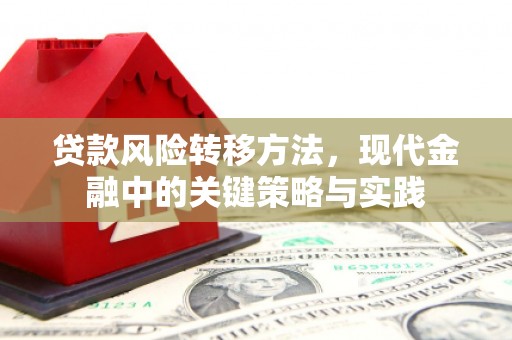 徐水贷款风险转移方法，现代金融中的关键策略与实践