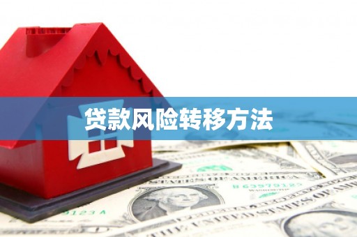 徐水贷款风险转移方法
