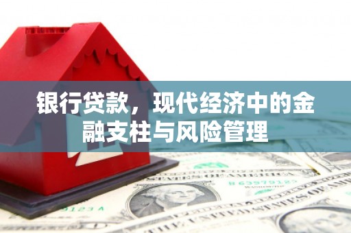 徐水银行贷款，现代经济中的金融支柱与风险管理