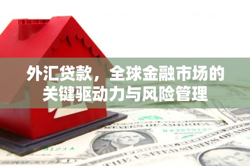 徐水外汇贷款，全球金融市场的关键驱动力与风险管理