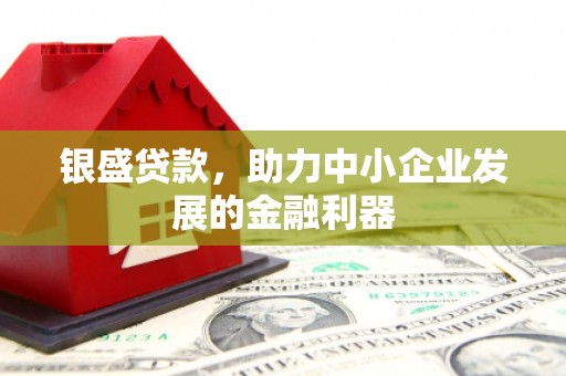 徐水银盛贷款，助力中小企业发展的金融利器