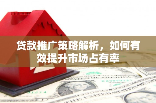 徐水贷款推广策略解析，如何有效提升市场占有率